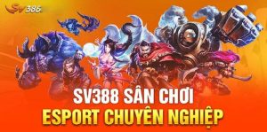 Người chơi sẽ được theo dõi nhiều trận đấu nổi tiếng tại SV388